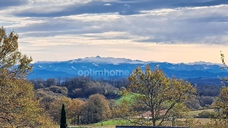 Terrain à SAUVETERRE-DE-BEARN