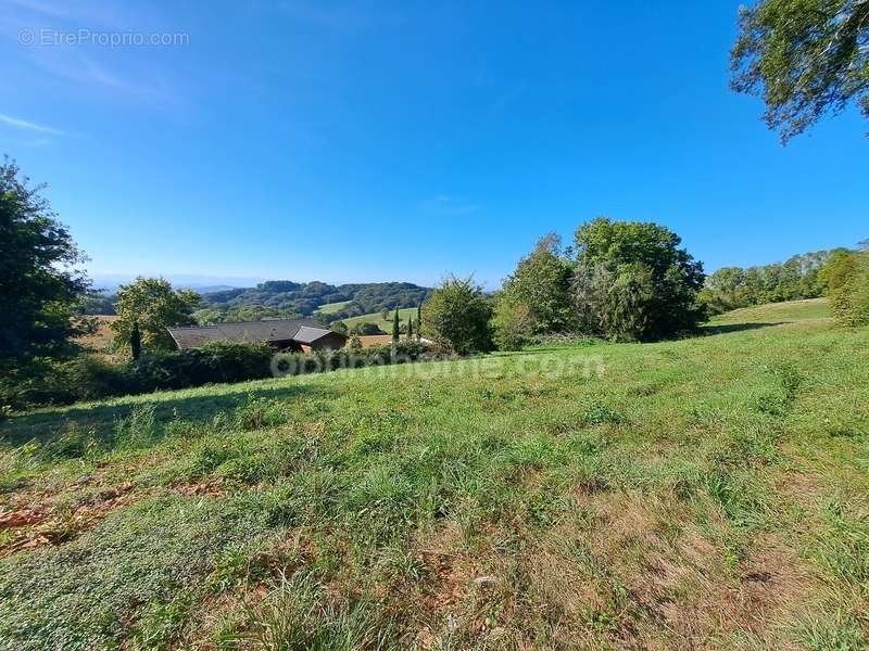 Terrain à SAUVETERRE-DE-BEARN