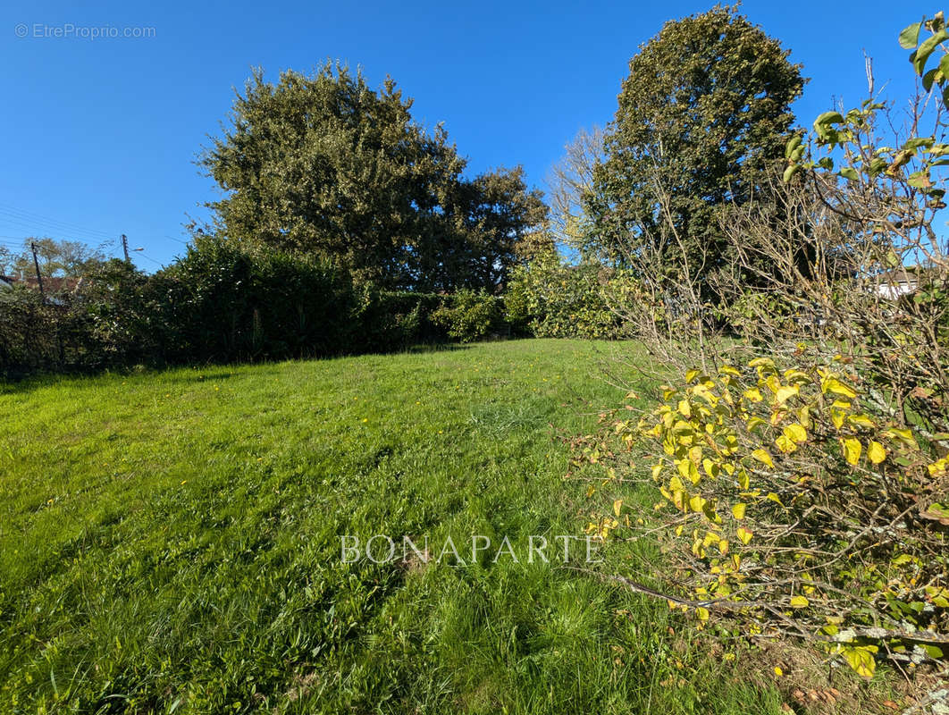 Terrain à SAINT-MEDARD-EN-JALLES