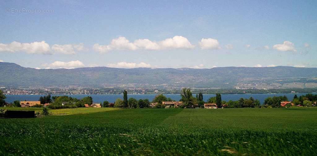 Appartement à MESSERY