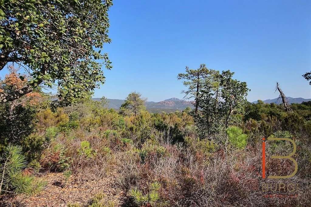 Terrain à SAINT-RAPHAEL