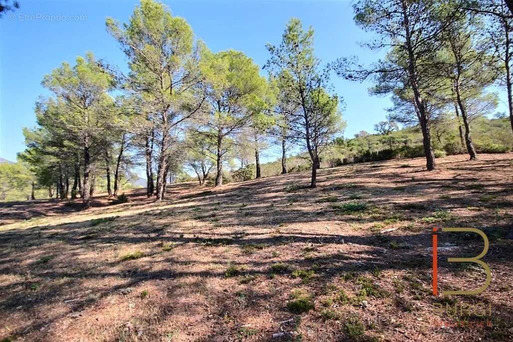 Terrain à SAINT-RAPHAEL