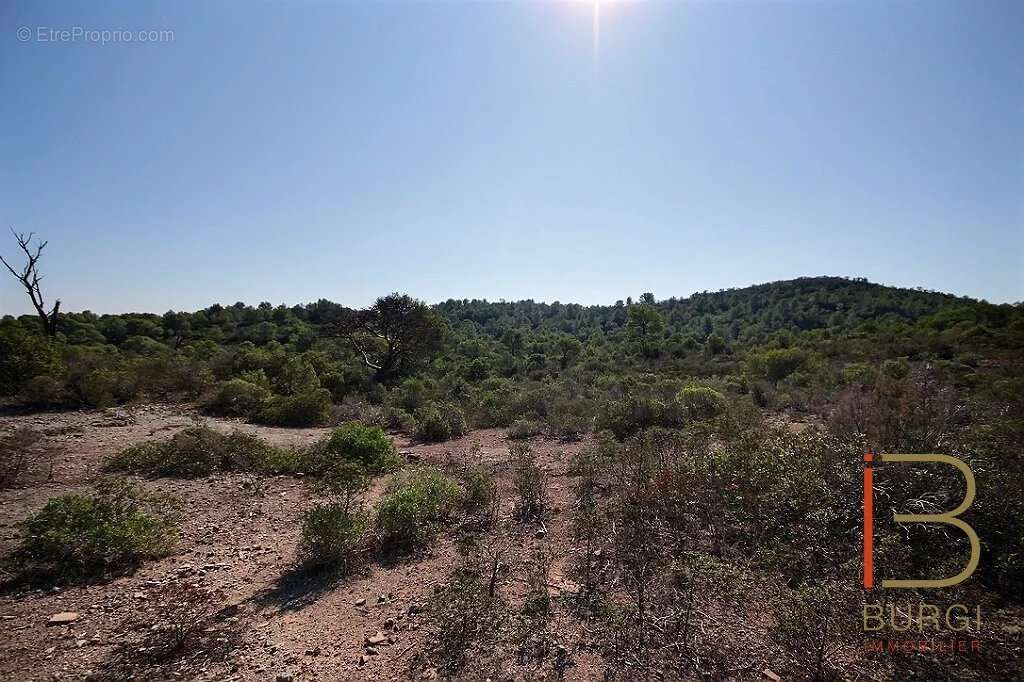 Terrain à SAINT-RAPHAEL