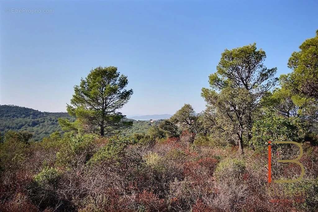 Terrain à SAINT-RAPHAEL