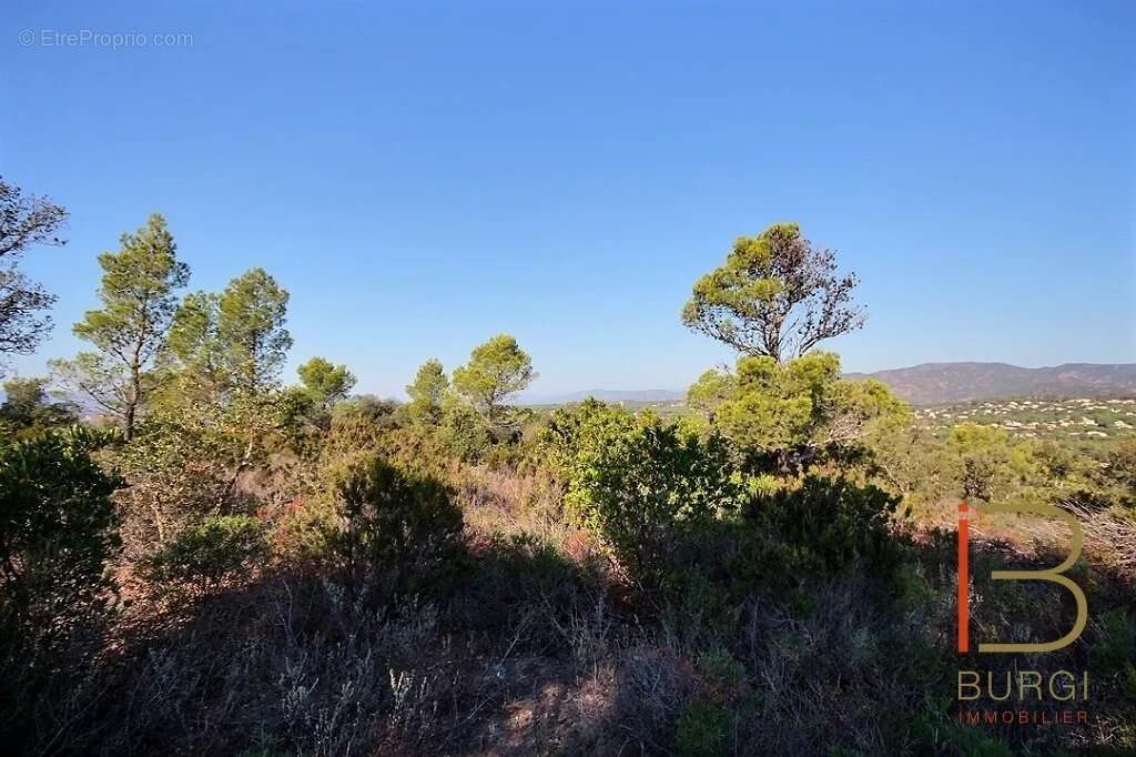 Terrain à SAINT-RAPHAEL