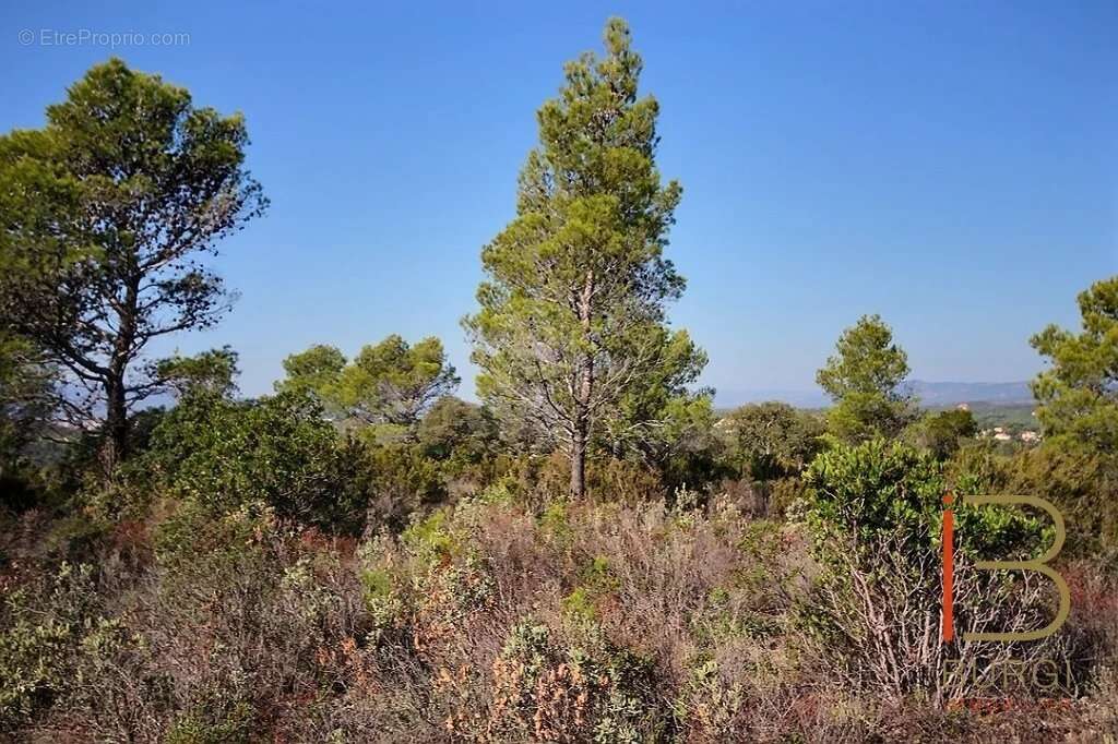 Terrain à SAINT-RAPHAEL