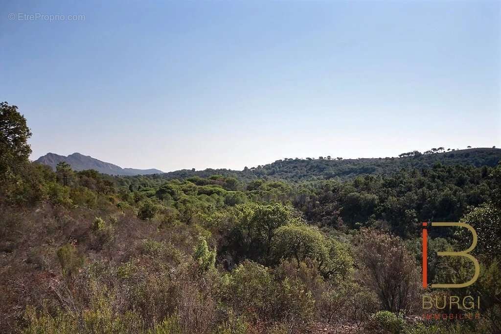 Terrain à SAINT-RAPHAEL