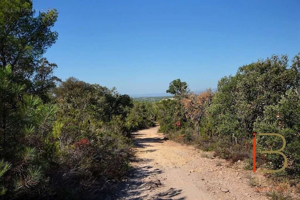 Terrain à SAINT-RAPHAEL