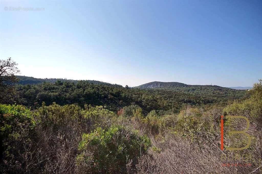 Terrain à SAINT-RAPHAEL