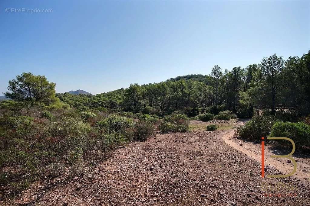 Terrain à SAINT-RAPHAEL