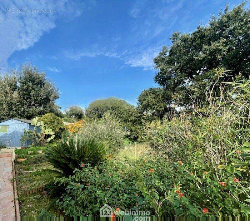 Jardin arboré de 450m2 - Maison à SAINTE-MAXIME