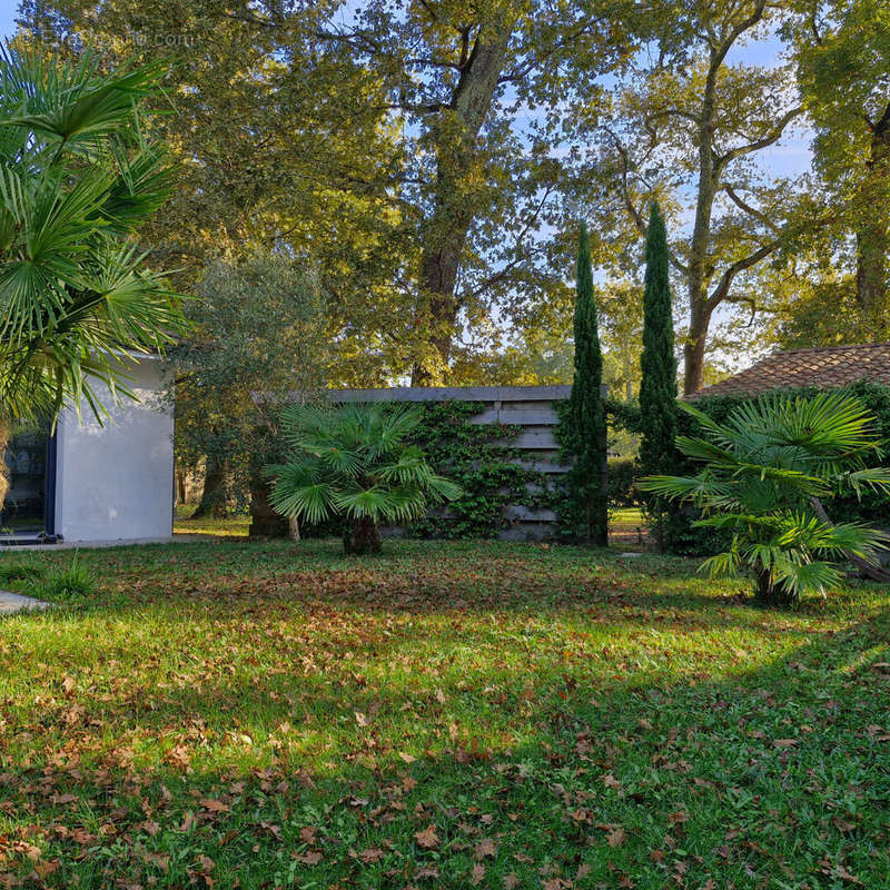 Maison à LINXE