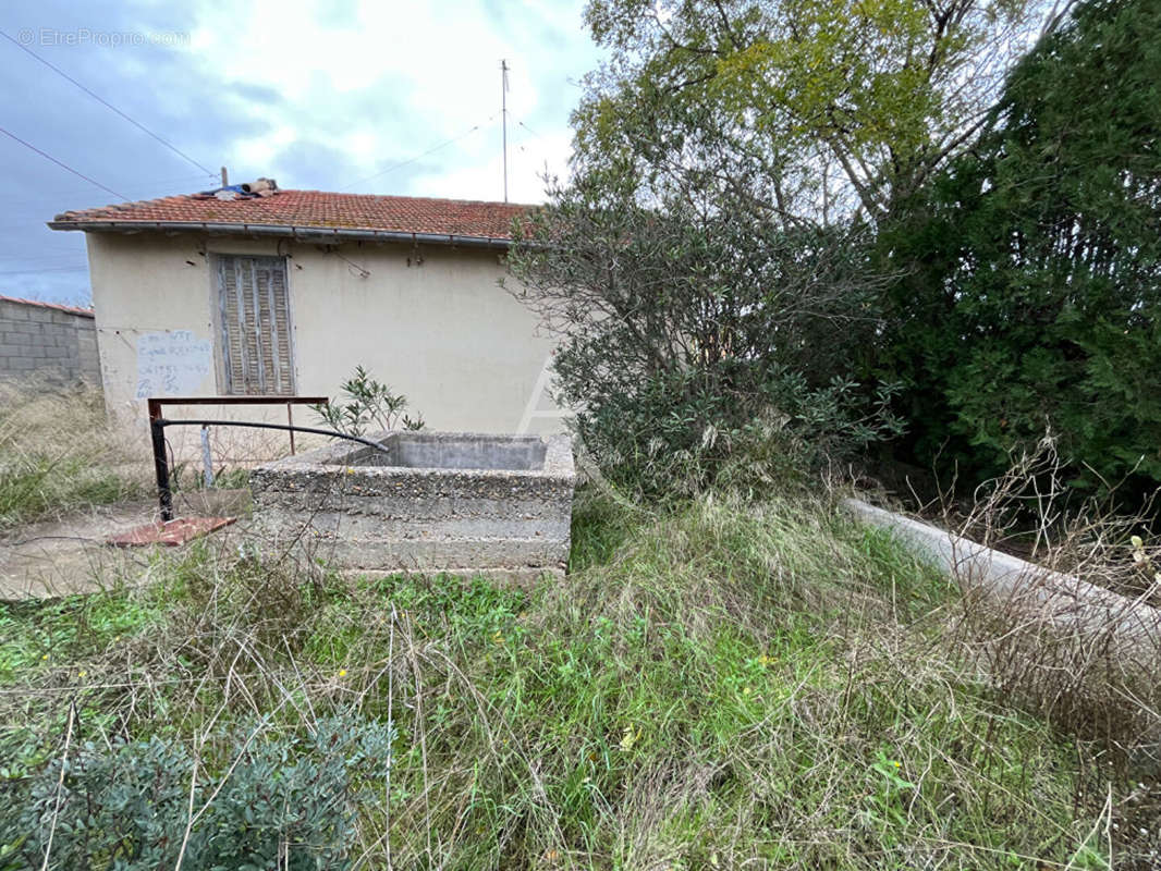 Maison à FRONTIGNAN