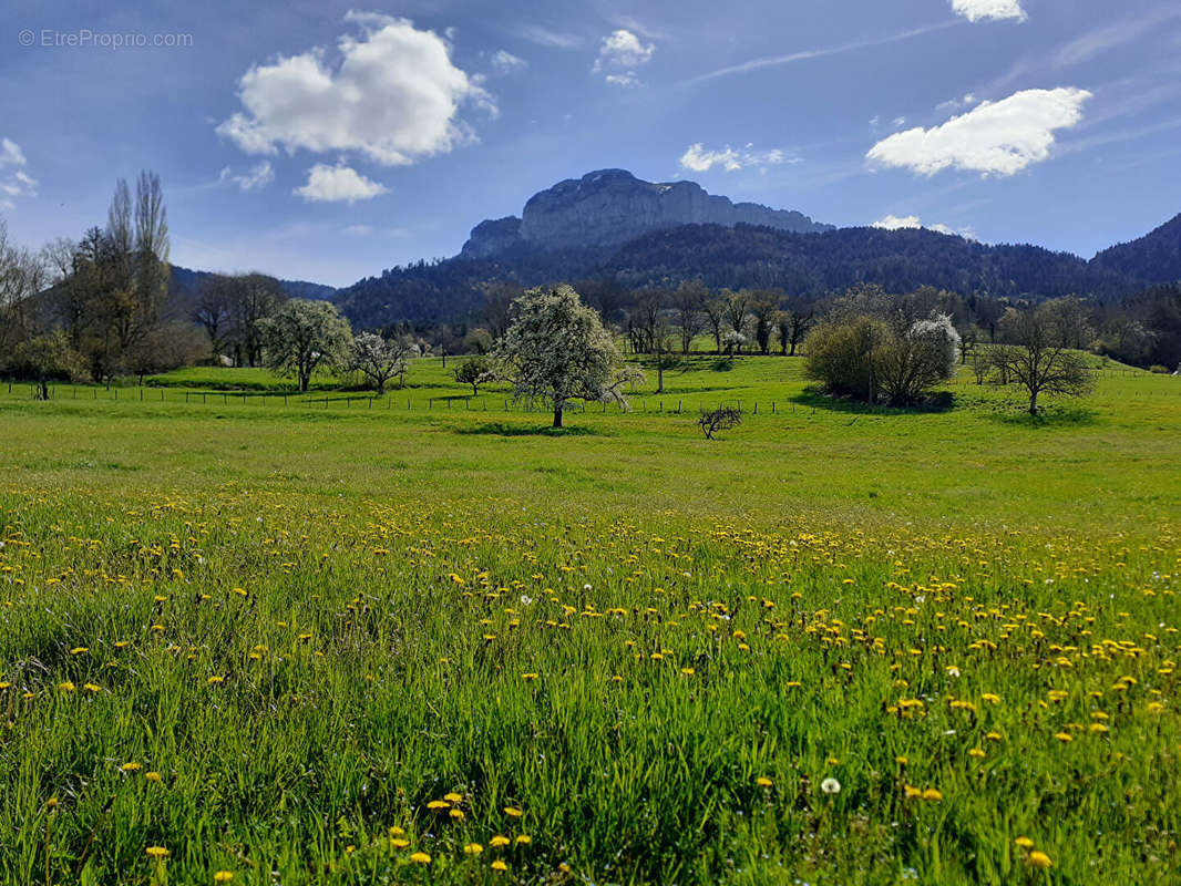 Maison à VILLAZ