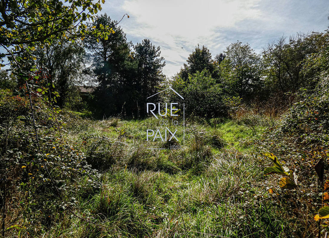 Terrain à SAVIGNY-SOUS-FAYE