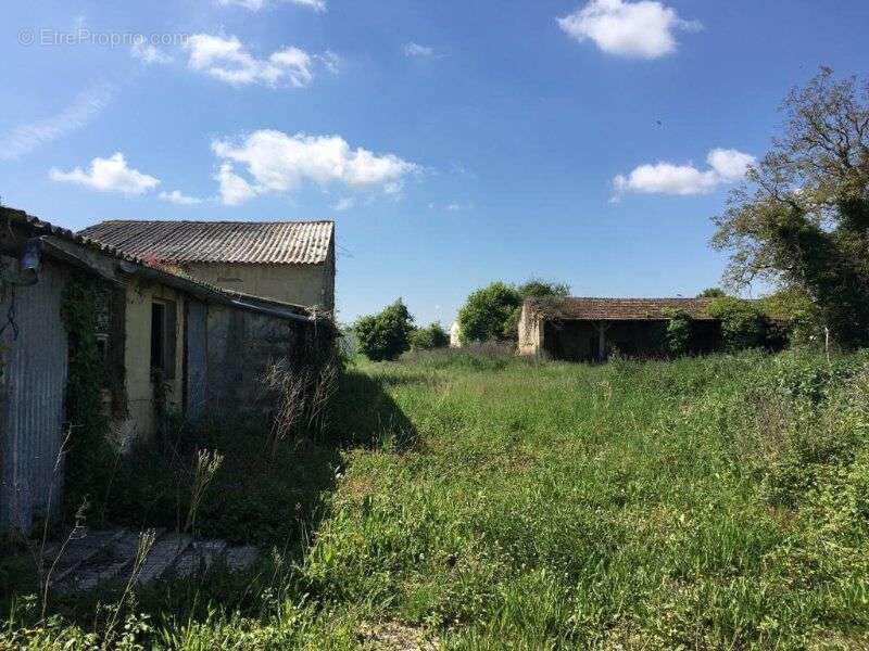 Photo 2 - Terrain à MAZERAY