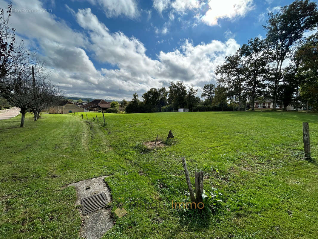 Terrain à VILLY-EN-TRODES