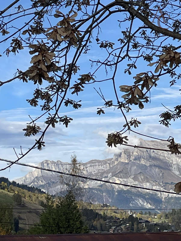 Terrain à MEGEVE