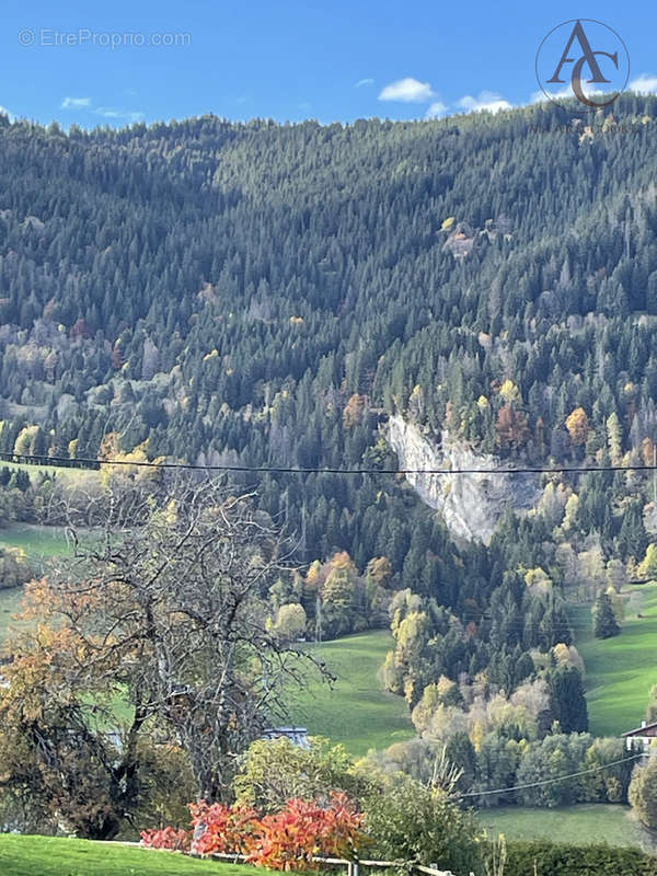 Terrain à MEGEVE