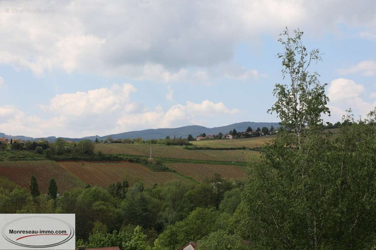 Terrain à LA ROCHE-VINEUSE