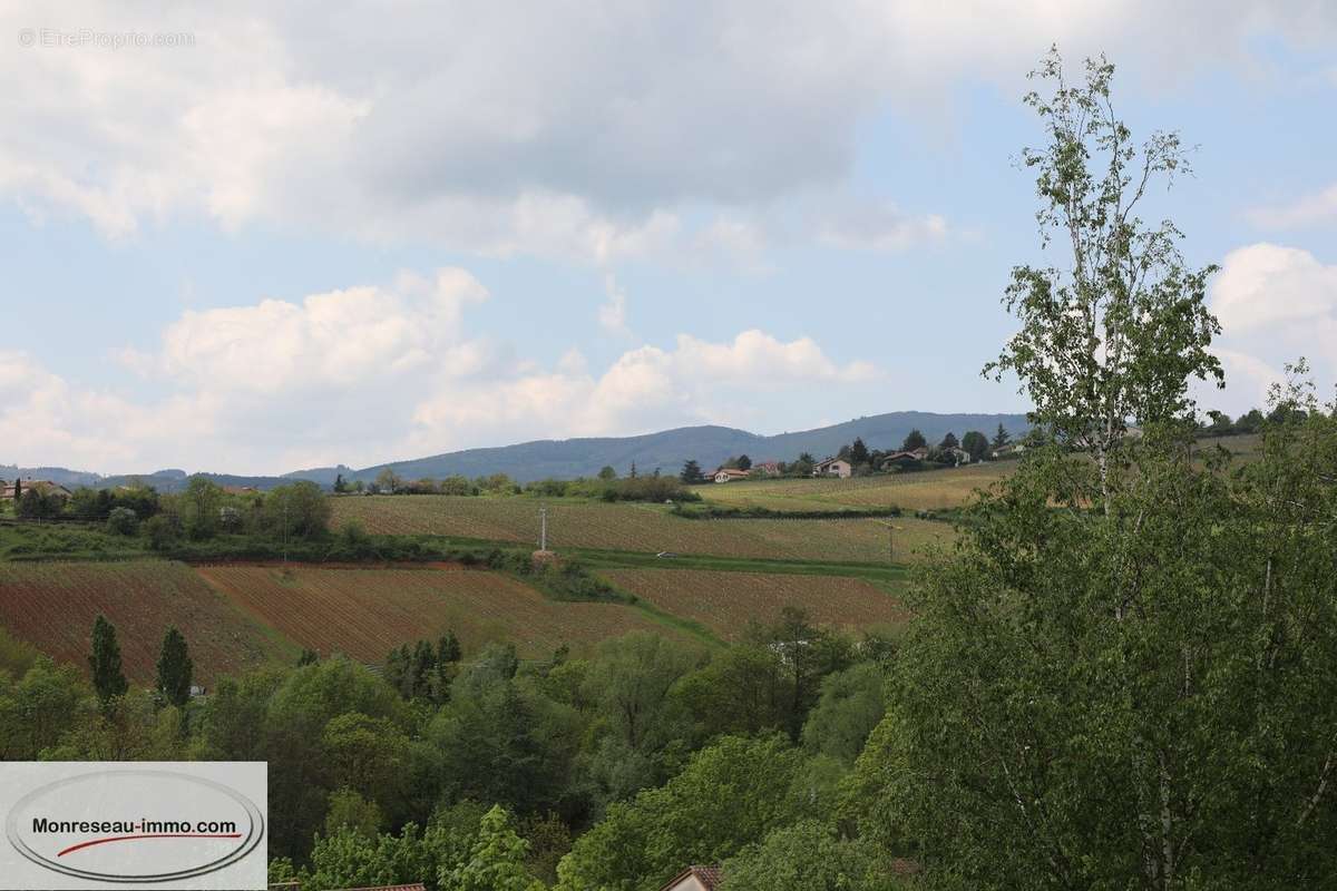 Terrain à LA ROCHE-VINEUSE