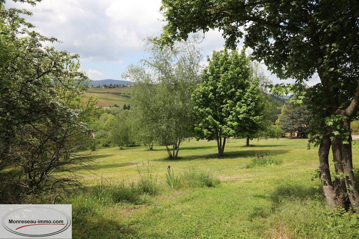 Terrain à LA ROCHE-VINEUSE