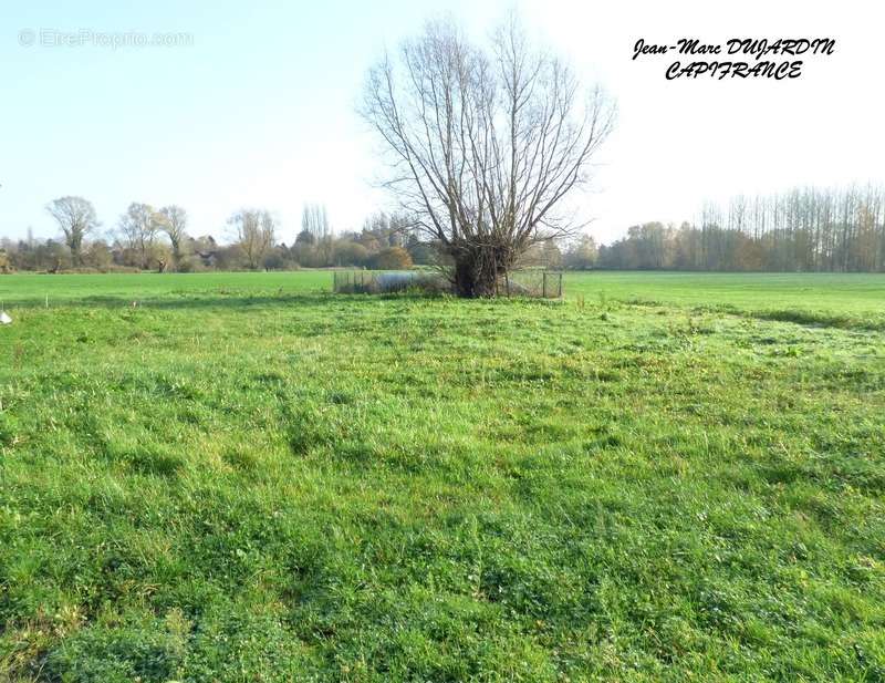 Terrain à RIEULAY