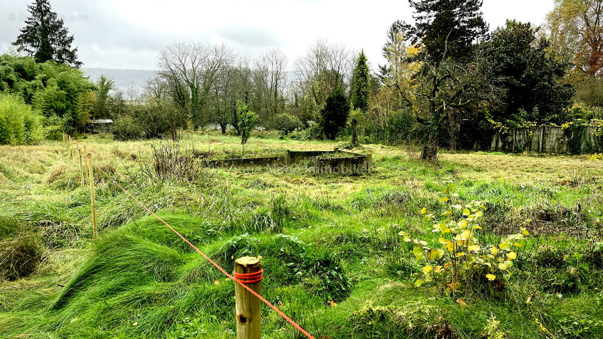 Terrain à ESSOMES-SUR-MARNE