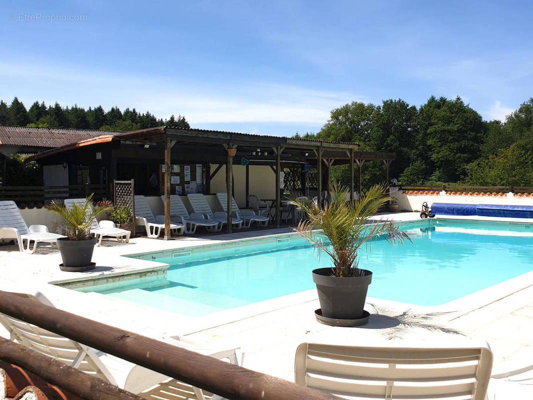 PISCINE - Maison à PRESSIGNAC