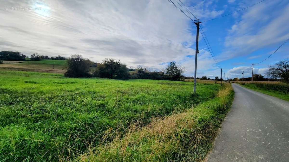 Terrain à MARCIAC