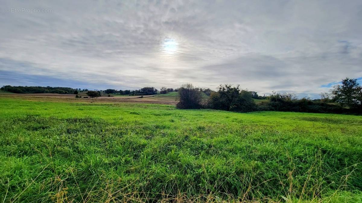 Terrain à MARCIAC