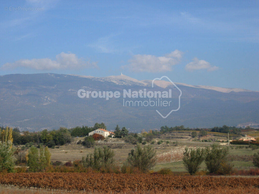 Terrain à SAINTE-CECILE-LES-VIGNES