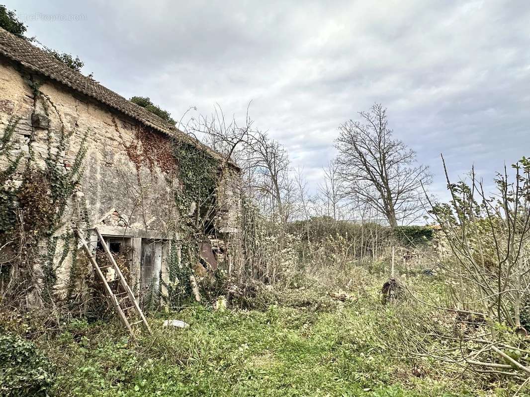 Maison à GEVREY-CHAMBERTIN