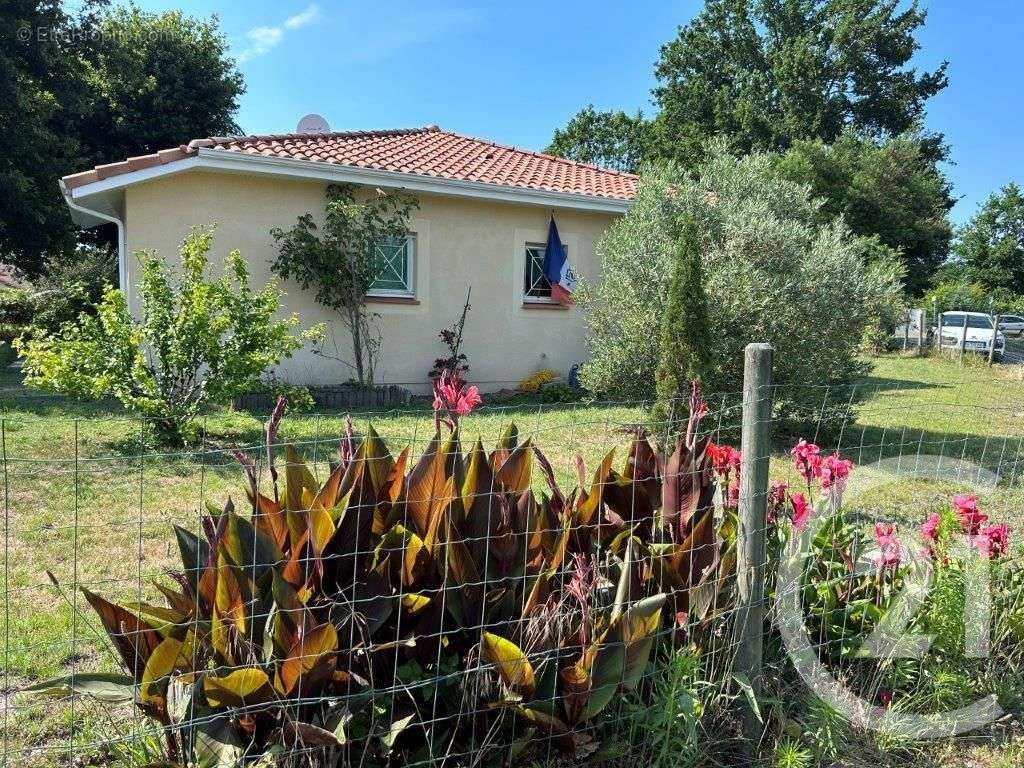 Maison à SAINTE-EULALIE-EN-BORN