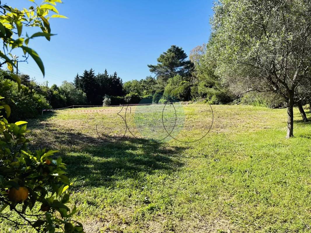 Terrain à MOUGINS