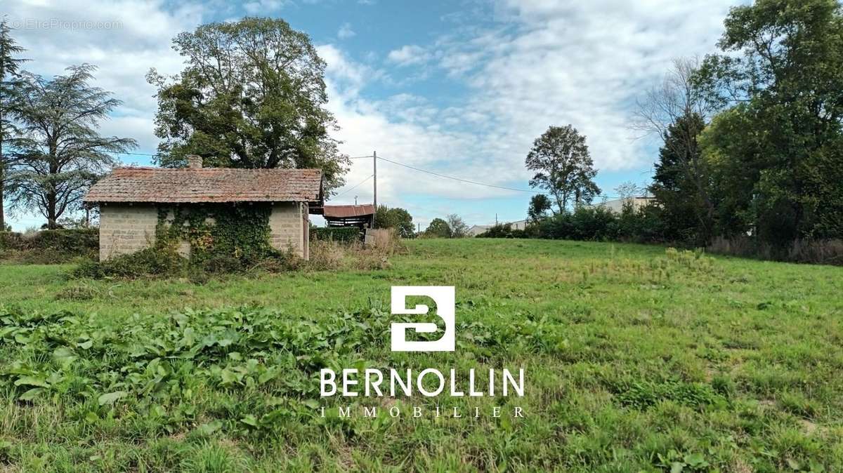 Terrain à MONTREVEL-EN-BRESSE