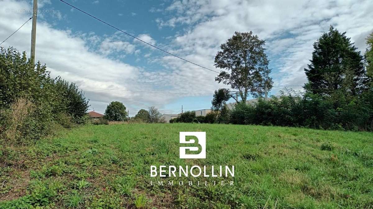 Terrain à MONTREVEL-EN-BRESSE