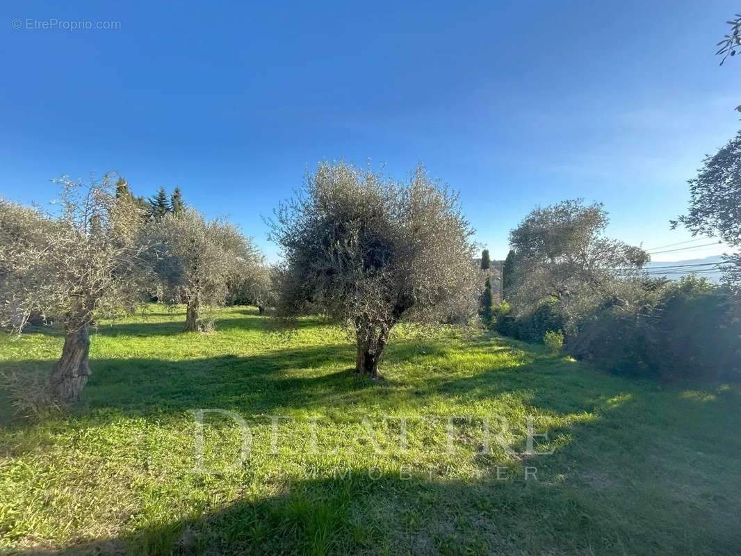 Maison à CHATEAUNEUF-GRASSE