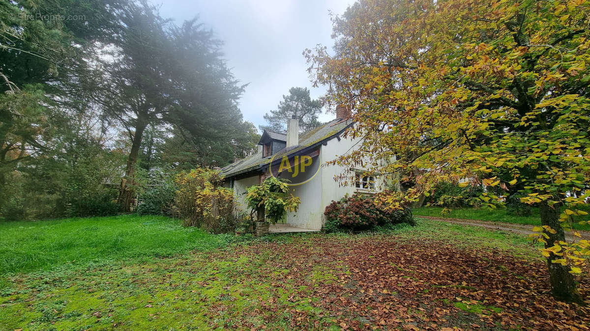 Maison à PLESSE