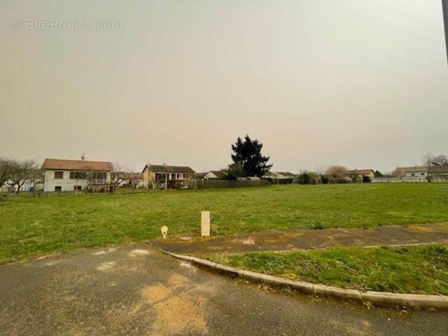 Terrain à NEUVILLE-SUR-VANNES