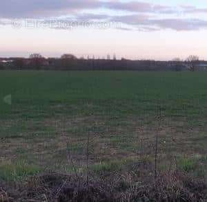 Terrain à LA ROCHE-SUR-YON