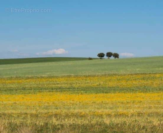 Terrain à L&#039;HERBERGEMENT