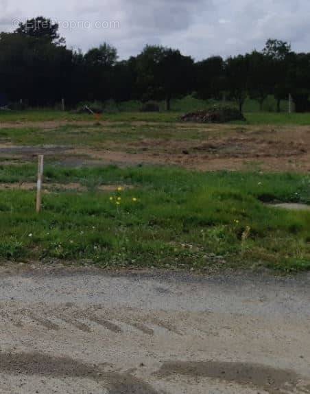 Terrain à DOMPIERRE-SUR-YON