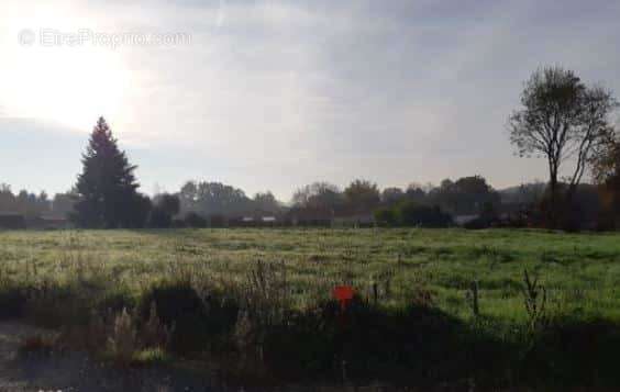 Terrain à DOMPIERRE-SUR-YON