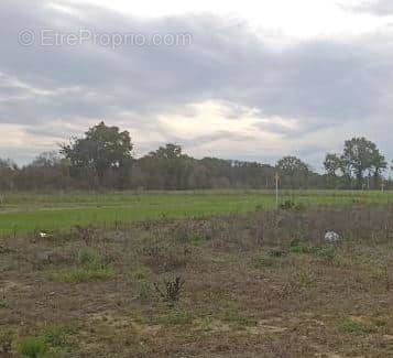 Terrain à LE POIRE-SUR-VIE