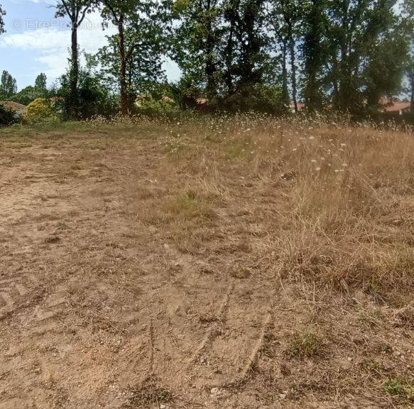 Terrain à LA ROCHE-SUR-YON