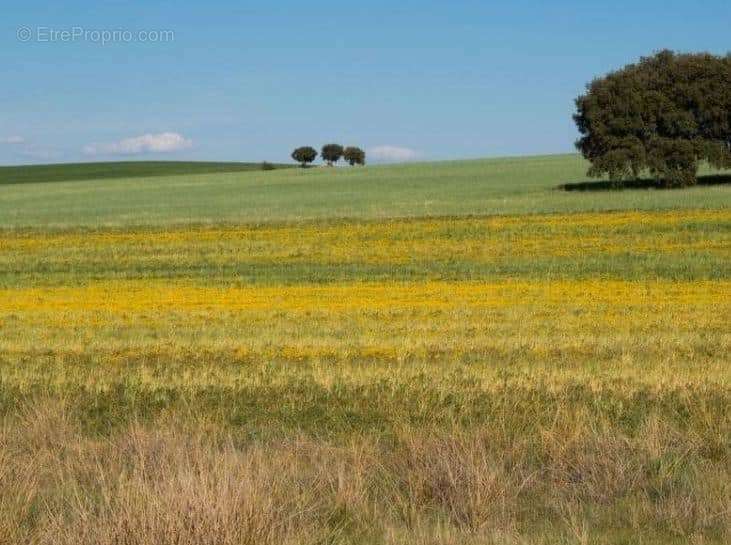 Terrain à LA COPECHAGNIERE