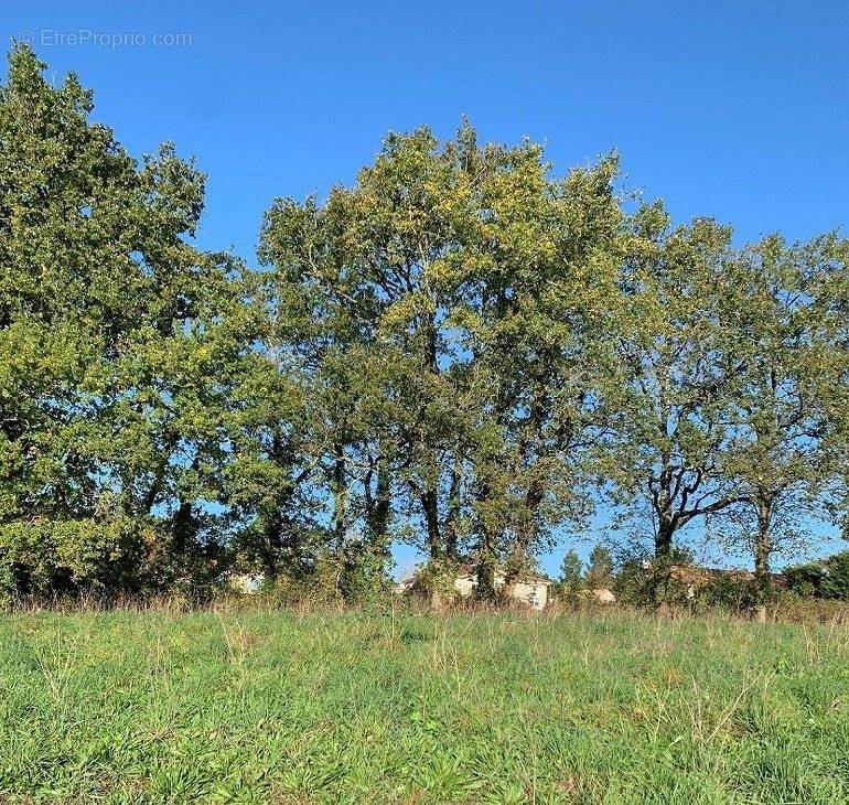 Terrain à POUZAUGES