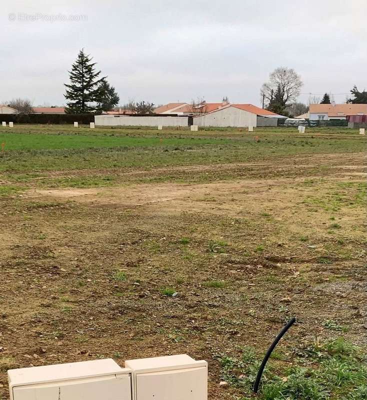 Terrain à FONTENAY-LE-COMTE