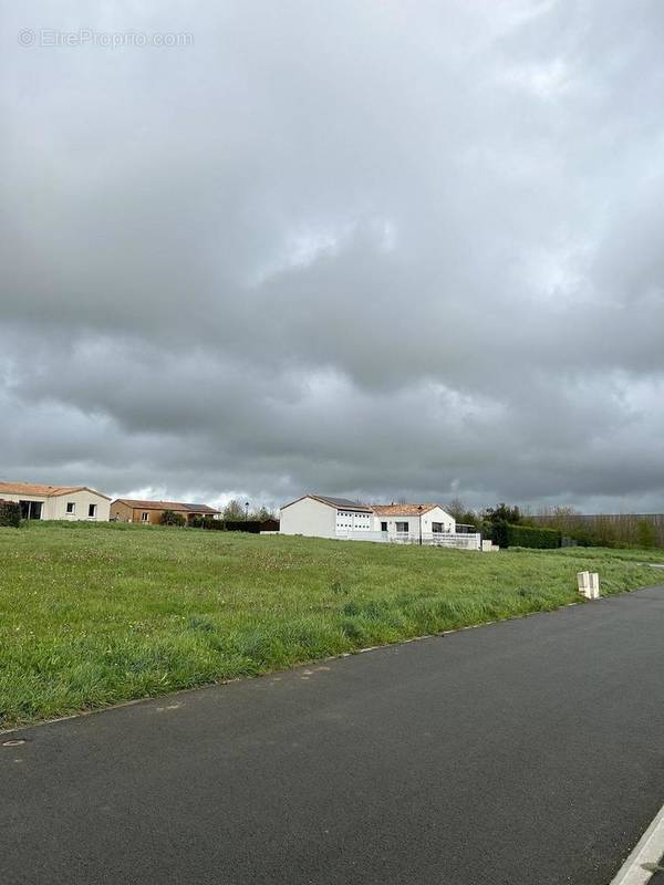 Terrain à POUZAUGES